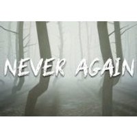 Never Again Steam CD Key