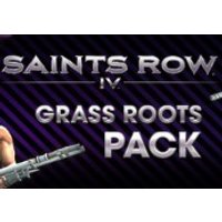 Saints Row IV - Grass Roots Pack DLC Steam CD Key