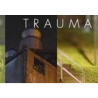 Trauma Steam CD Key