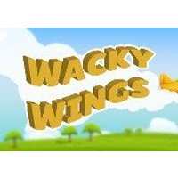 Wacky Wings VR Steam CD Key