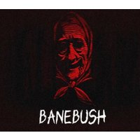 Banebush PC Steam CD Key
