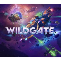 Wildgate PC Steam CD Key