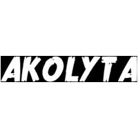 Akolyta PC Steam CD Key