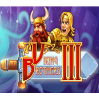 Viking Brothers 3 PC Steam CD Key