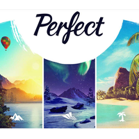 Perfect EU PC Steam CD Key
