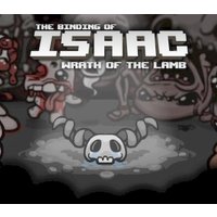 Binding of Isaac - Wrath of the Lamb DLC PC Steam Gift