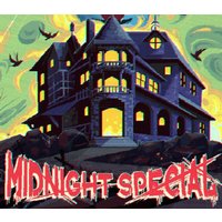 Midnight Special PC Steam CD Key