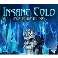 Insane Cold Back to the Ice Age PC Steam CD Key