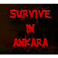Survive in Ankara PC Steam CD Key