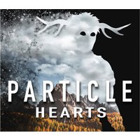 Particle Hearts PC Steam CD Key