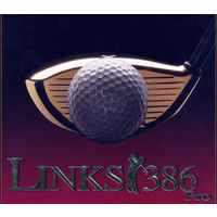 Links 386 Pro PC GOG CD Key