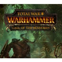 Total War: Warhammer - Call of the Beastmen DLC PC Steam CD Key