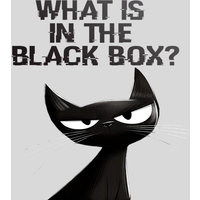 What is in the Black Box? PC Steam CD Key