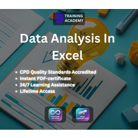 Data Analysis In Excel Course Online Training Academy