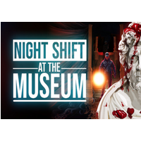 Night Shift at the Museum PC Steam CD Key
