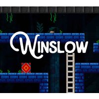 Winslow PC Steam CD Key