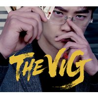 THE VIG PC Steam CD Key
