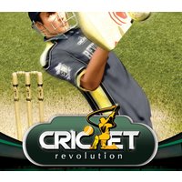 Cricket Revolution PC Steam Gift
