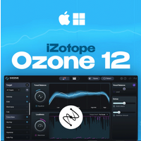 iZotope Ozone 12 Elements PC/MAC CD Key