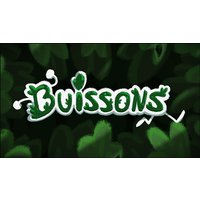Buissons Steam CD Key