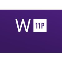 Windows 11 Professional OEM Key - API