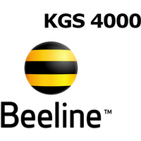 Beeline 4000 KGS Mobile Top-up KG