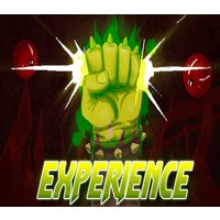 Experience (2016) Steam CD Key