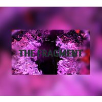 The Fragment Steam CD Key