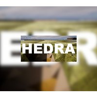 Hedra Steam CD Key