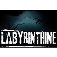 Labyrinthine EU Steam CD Key