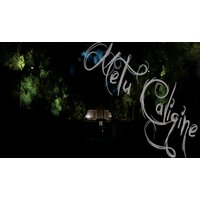 Metu Caligine PC Steam CD Key