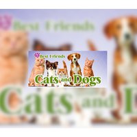My Best Friends - Cats & Dogs Steam CD Key