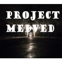 Project Medved Steam CD Key