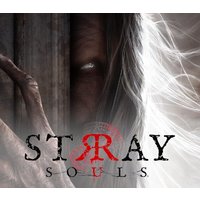 Stray Souls PC Steam CD Key