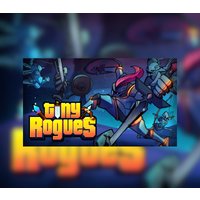 Tiny Rogues PC Steam Account