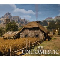 Undomestic Steam CD Key