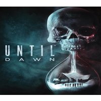 Until Dawn (2015) PS4/PS5 Online Account Activation