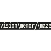 visionmemorymaze Steam CD Key