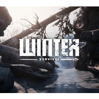 Winter Survival PC Steam Account