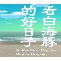 A Perfect Day for White Dolphin Steam CD Key