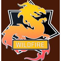 CS:GO - Series 3 - Wildfire Collectible Pin
