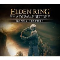 ELDEN RING - Shadow of the Erdtree Pre-Order Bonus DLC EU PS4 CD Key