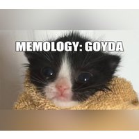MEMOLOGY: GOYDA PC Steam CD Key