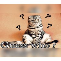 Guess who ? PC Steam CD Key