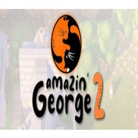 Amazin' George 2 Steam CD Key