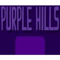 Purple Hills English Language only Steam CD Key