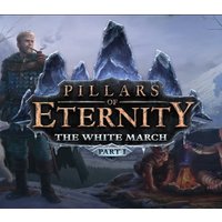 Pillars of Eternity - The White March Part I DLC RU VPN Activated Steam CD Key