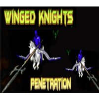 Winged Knights: Penetration Steam CD Key
