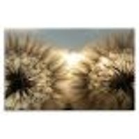 Quadro Decorativo Floral Fotografico Dente de Leão, Tela em Canvas na Horizontal ideal para ambiente de Sala de estar, jantar, reuniões, Quarto e Hall de entrada