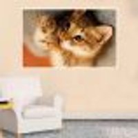Painel Fotográfico Adesivo Animais 37- Grande 90x135cm